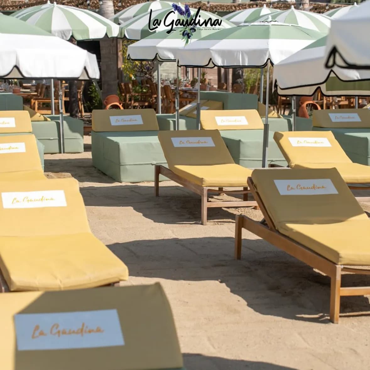 La Gaudina - Photo 2