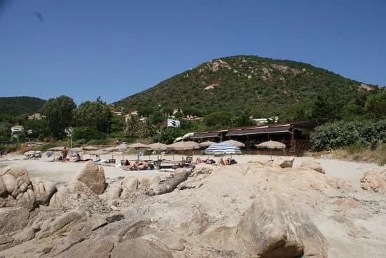 Le Goéland By Dolce Vita - Photo 5