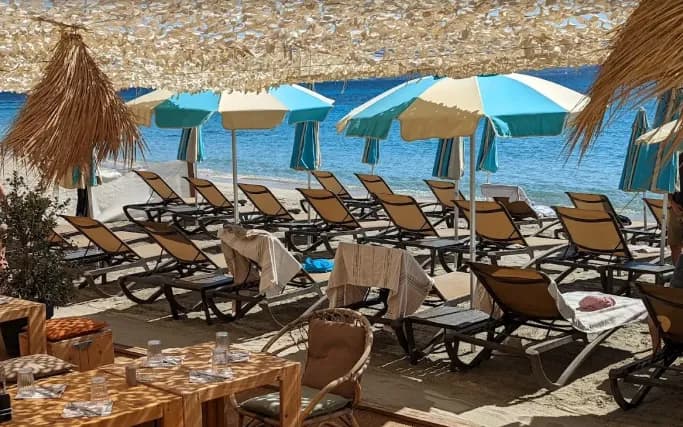 Palm Beach - Le Sari