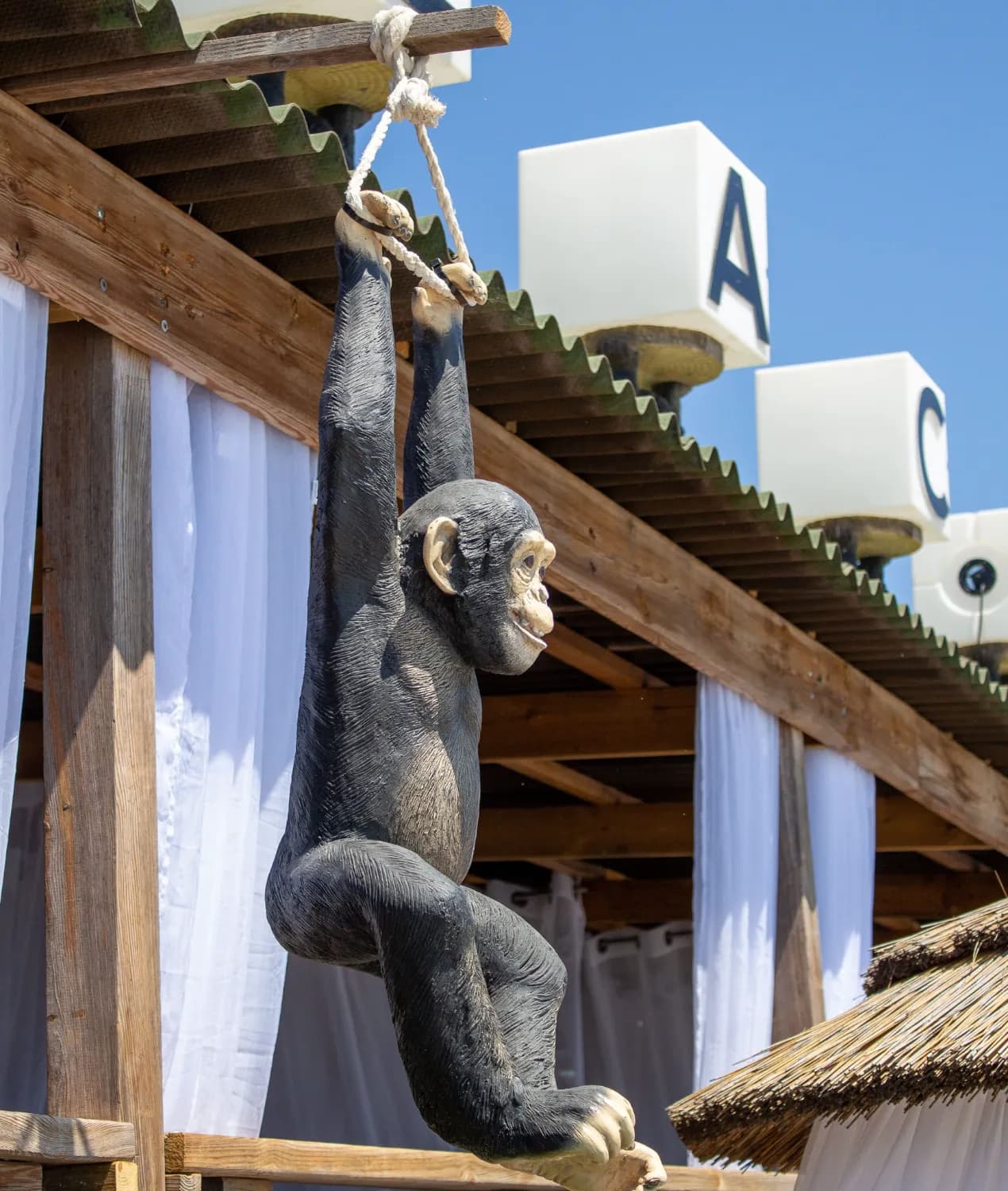 Linda Beach - Photo 3