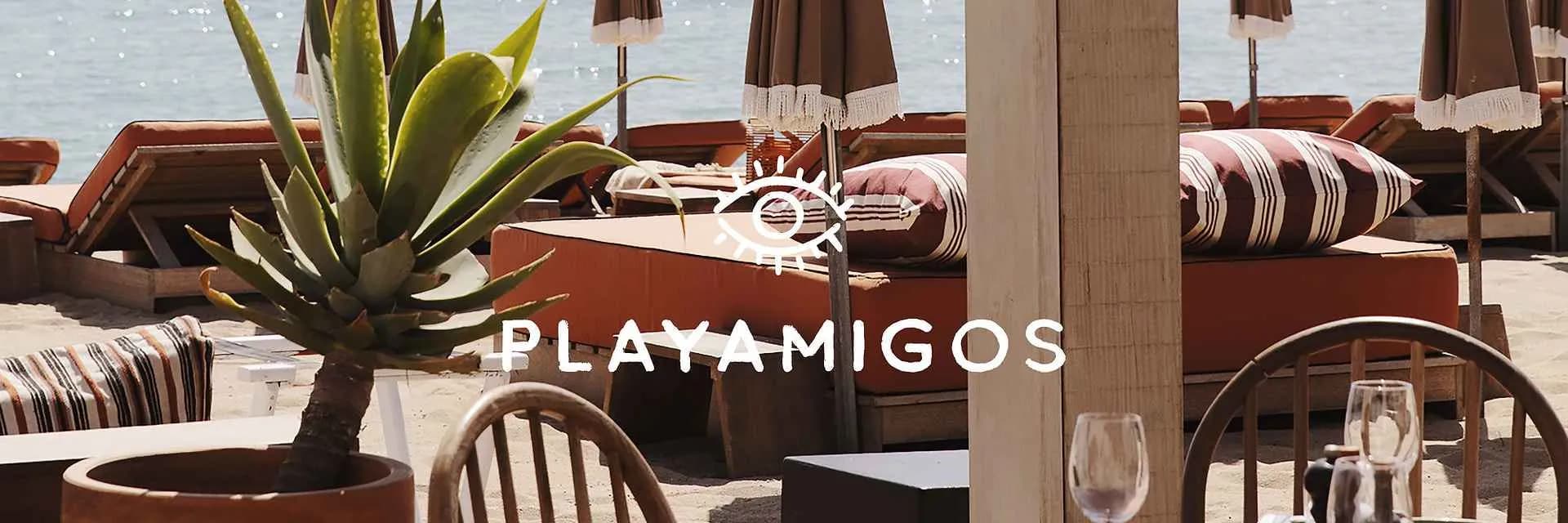 Playamigos
