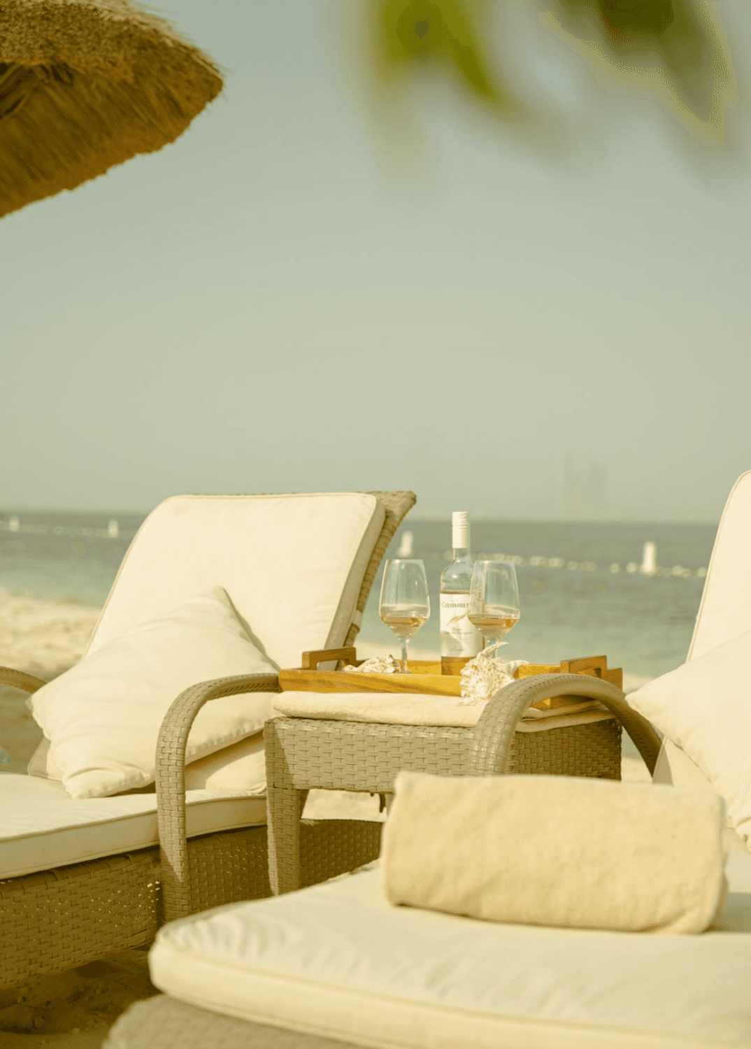 Al Maya Island & Resort - Photo 4