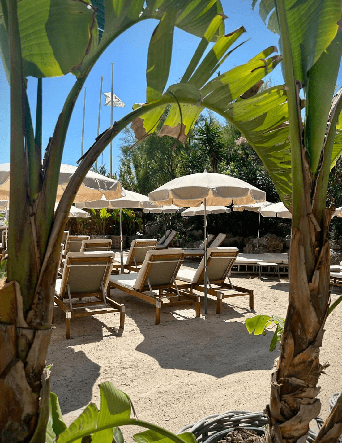 Photo La Javanaise Plage
