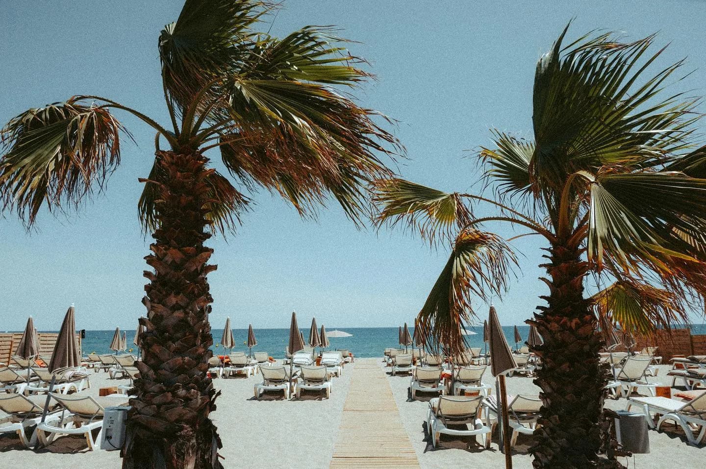 Photo Amourette Plage