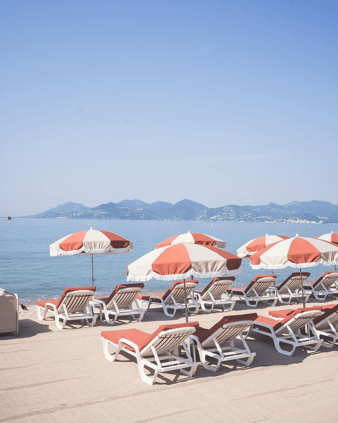 Le Bénitier - Photo 4