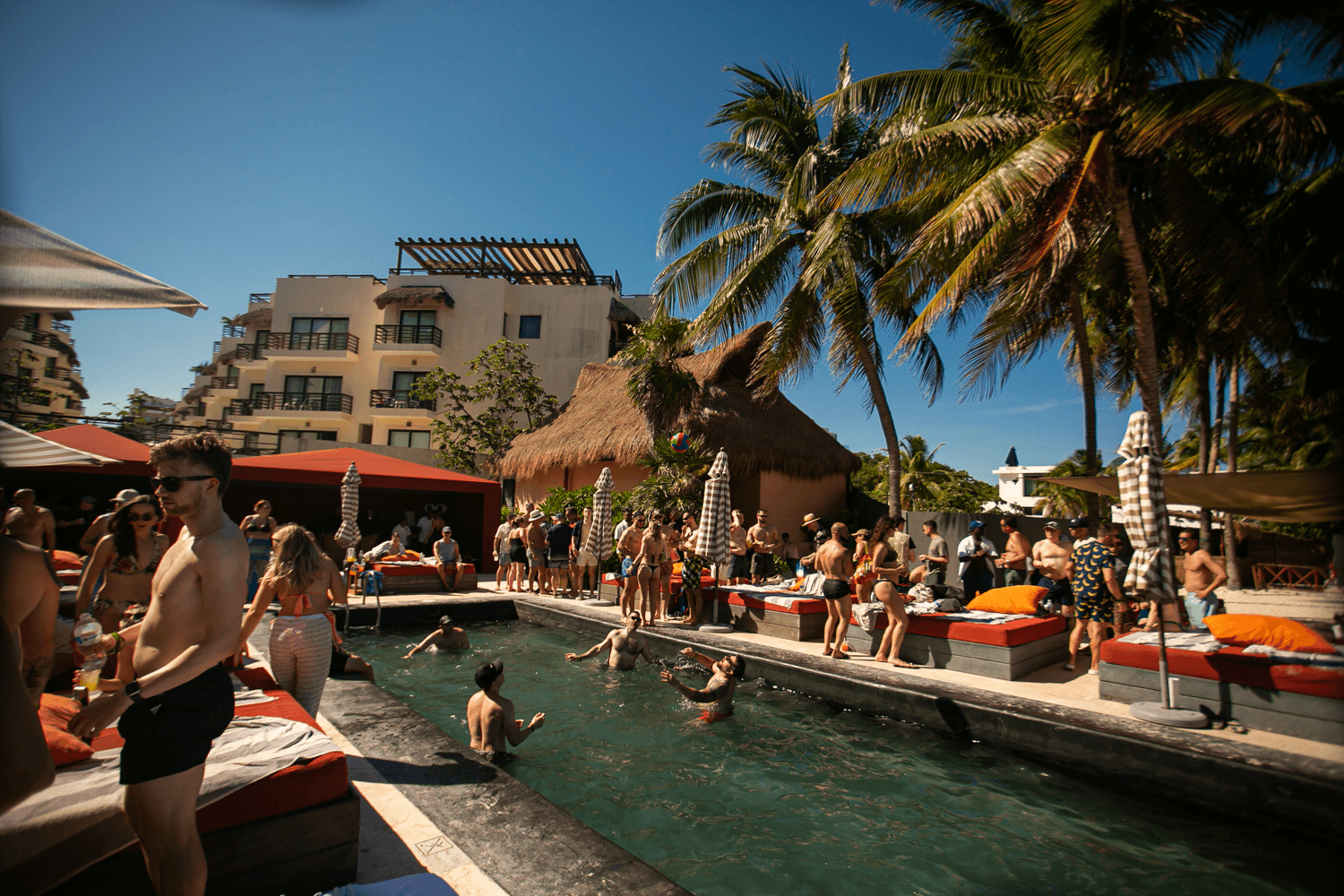 Coralina Daylight Club - Photo 3