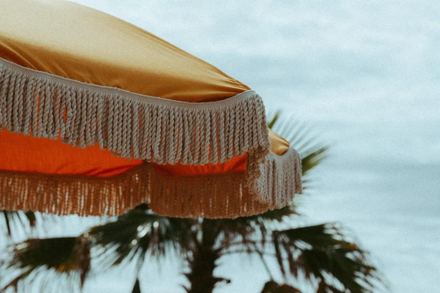 Photo Amourette Plage