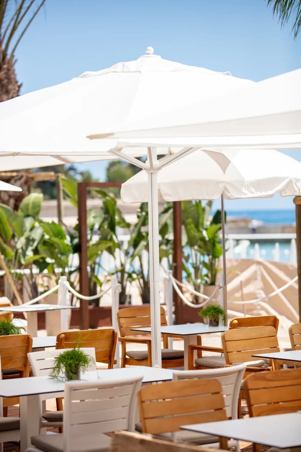 La Note Bleue - Photo 4