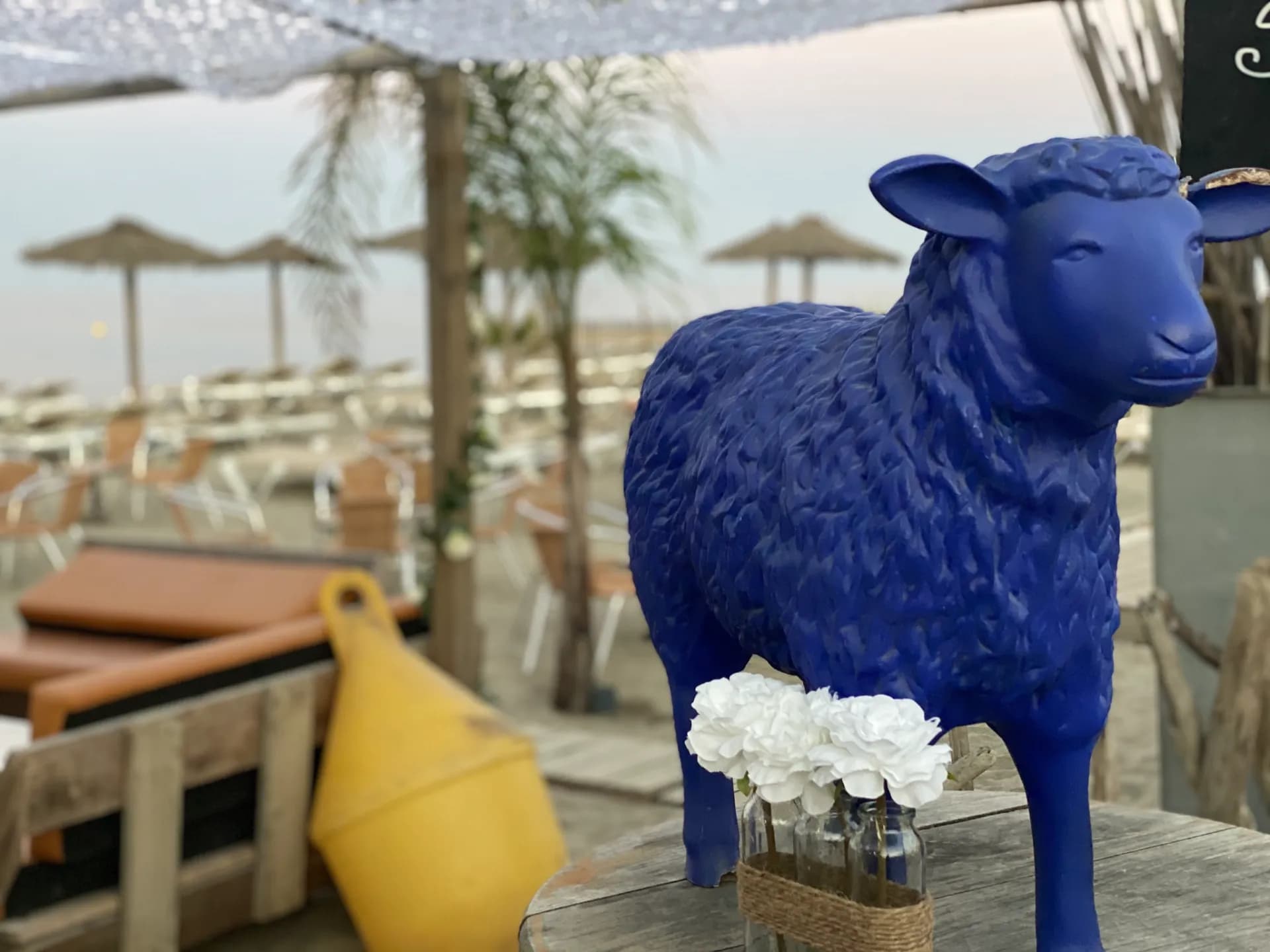 Photo Le Mouton Bleu