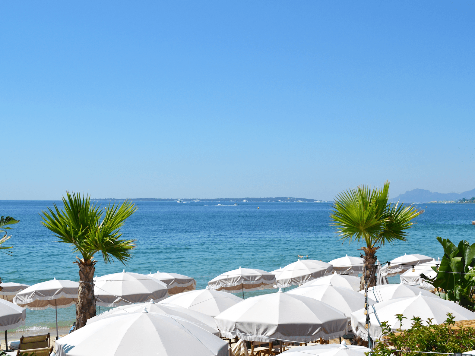 Tide Club - Restaurant