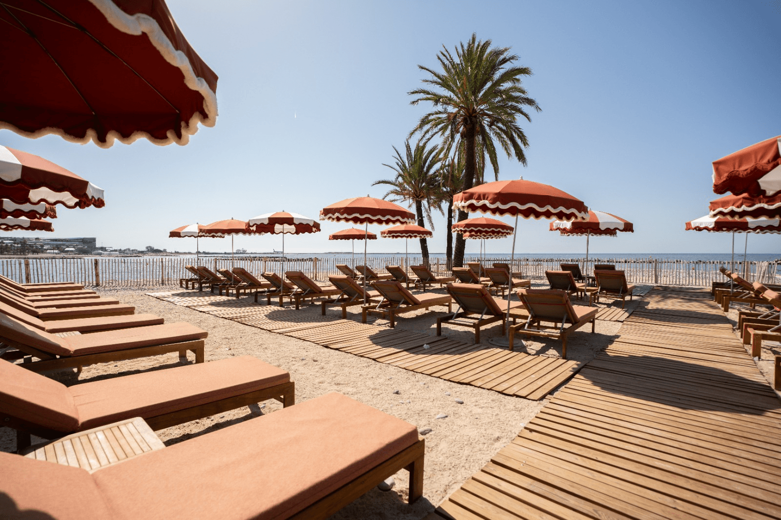 Playamesa - Photo 4