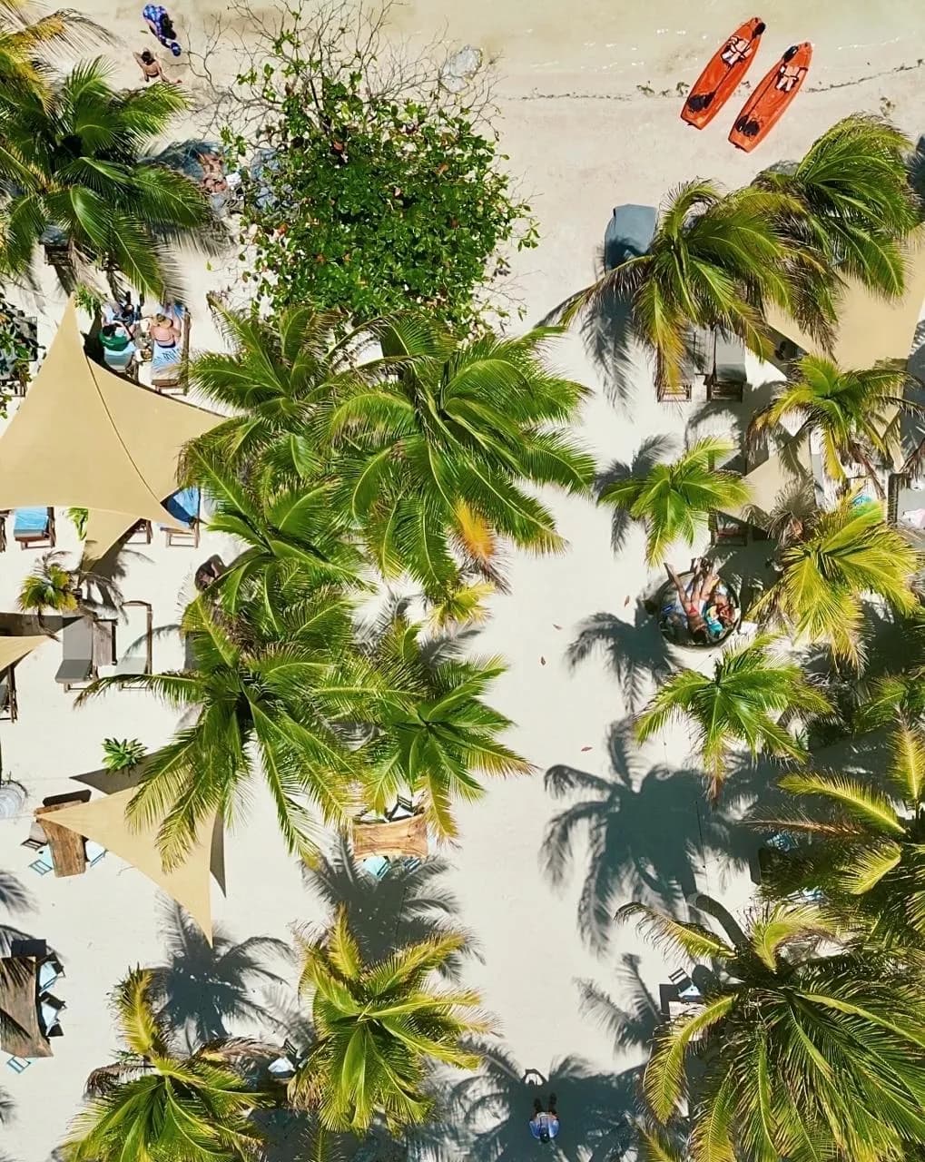 Malecon 21 - Photo 5