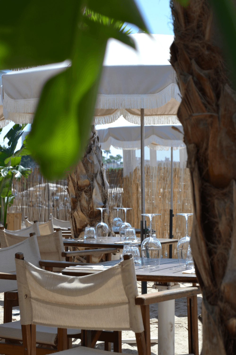 Tide Club - Restaurant - Photo 2