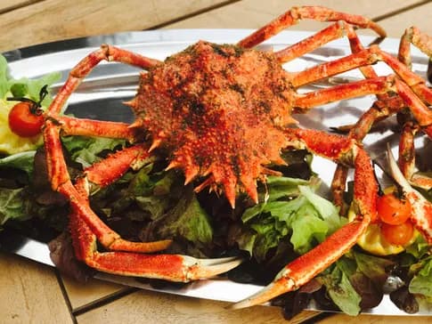 Le Petit Chose - Photo 3