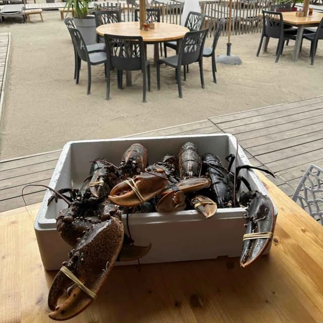 Restaurant Al Trayou