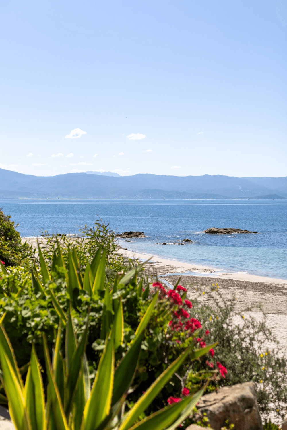Cala Braise - Photo 5