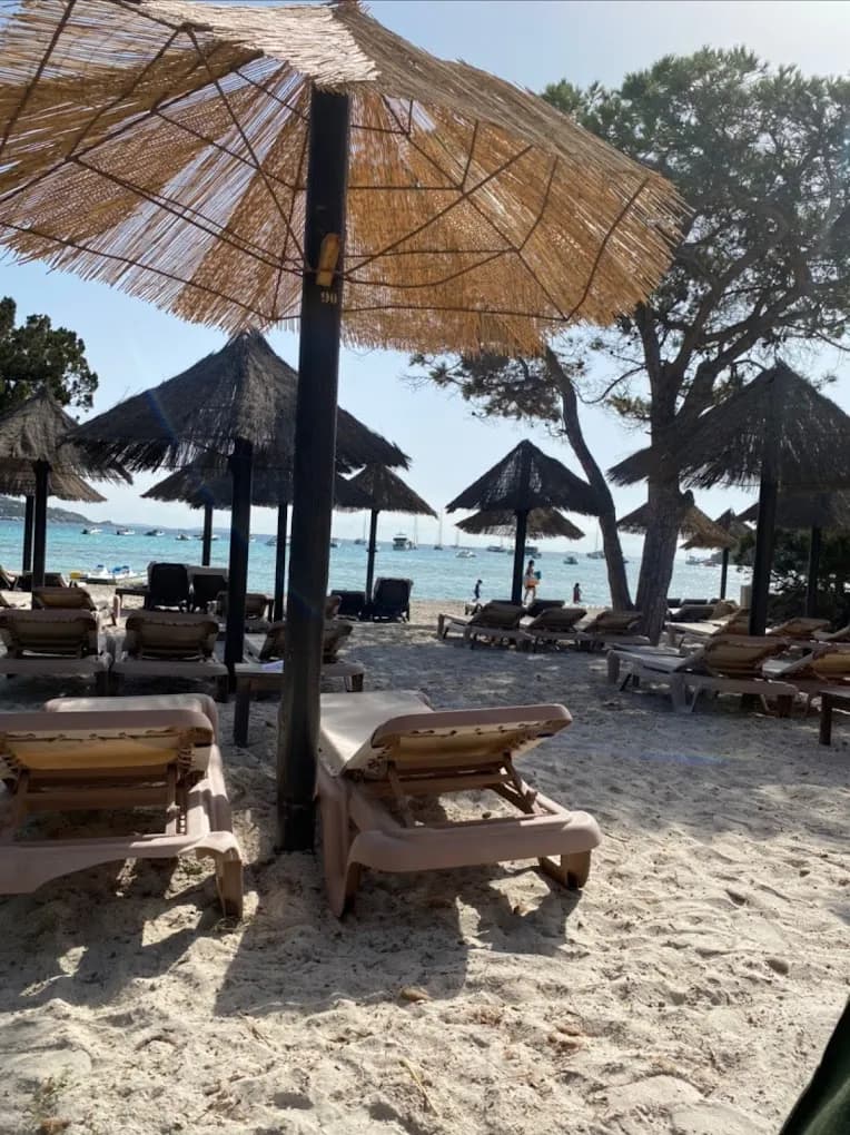 La Table du Moby Dick - Photo 5