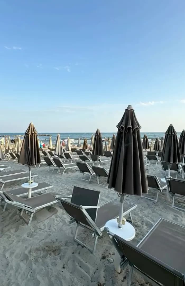 Les Pieds dans l'O - Photo 2