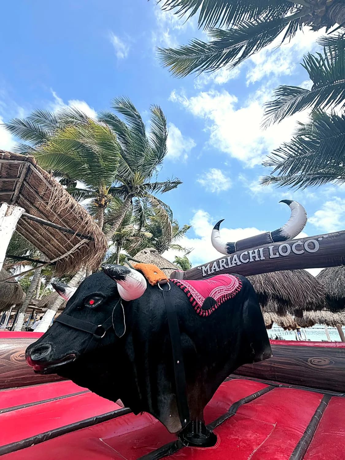 Mariachi Loco Beach Club - Photo 3