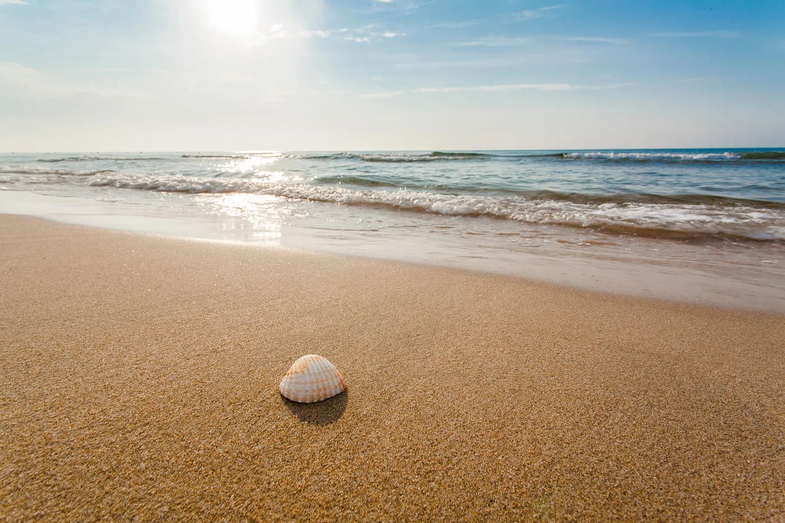 Photo Paralia Beach