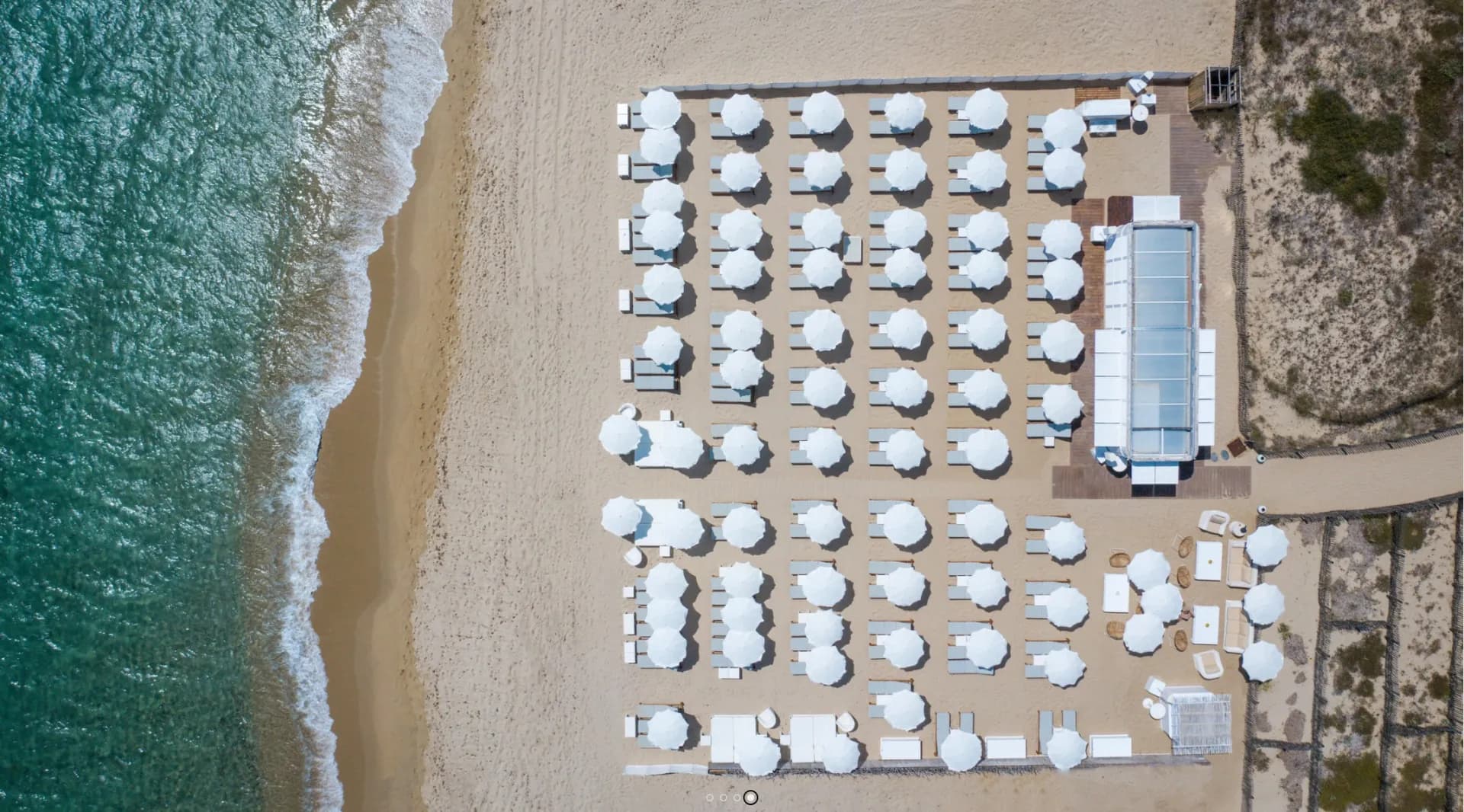 Les Palmiers - Photo 2