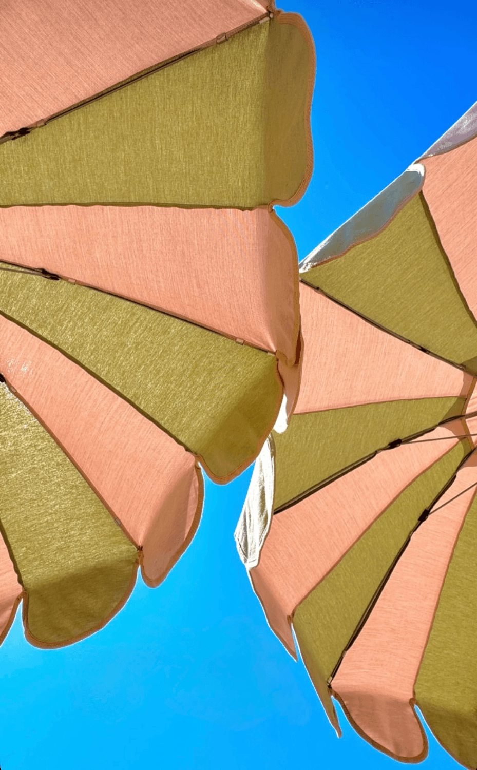 La Petite Cannoise - Photo 4