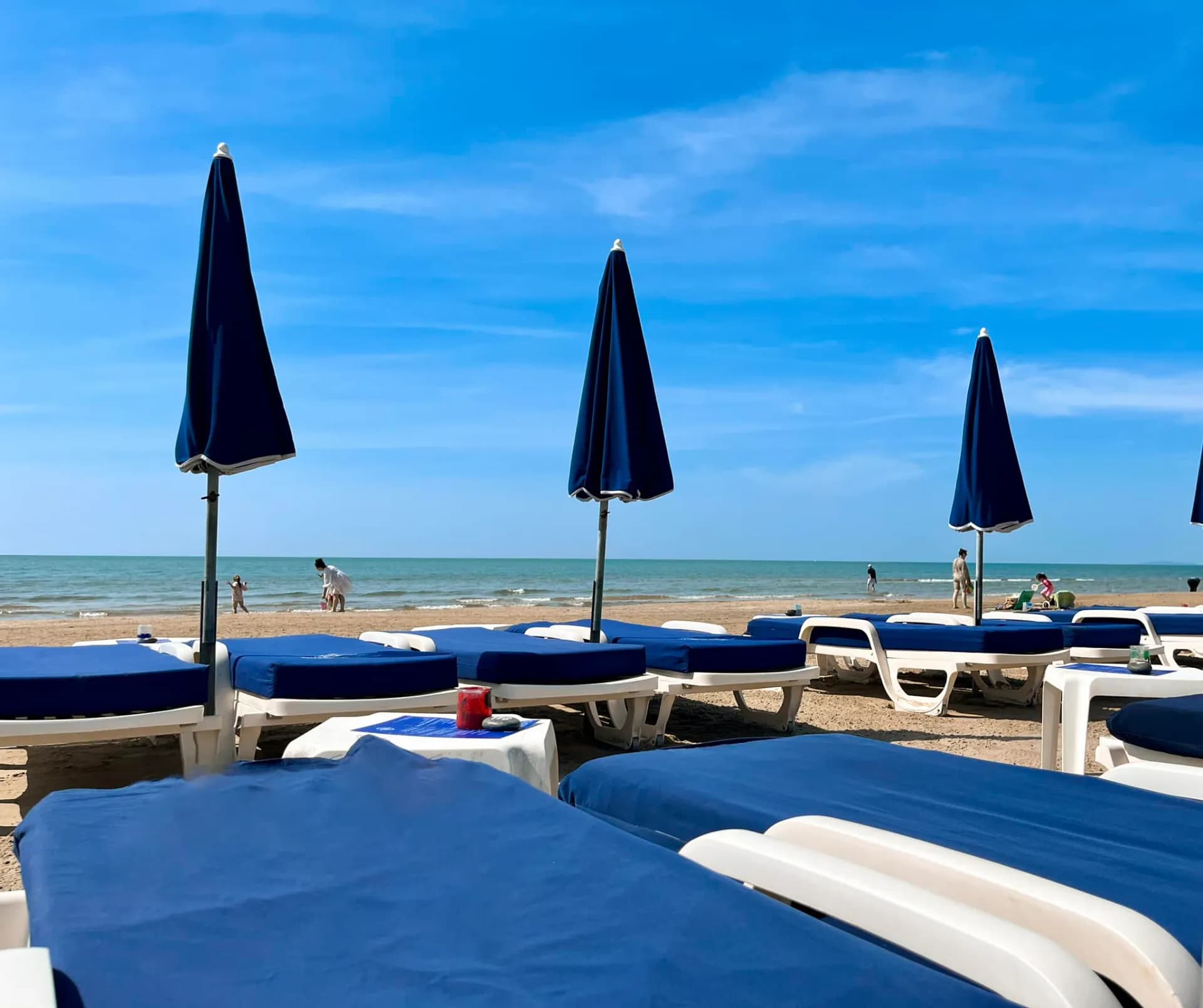 La Rose des Vents - Photo 2