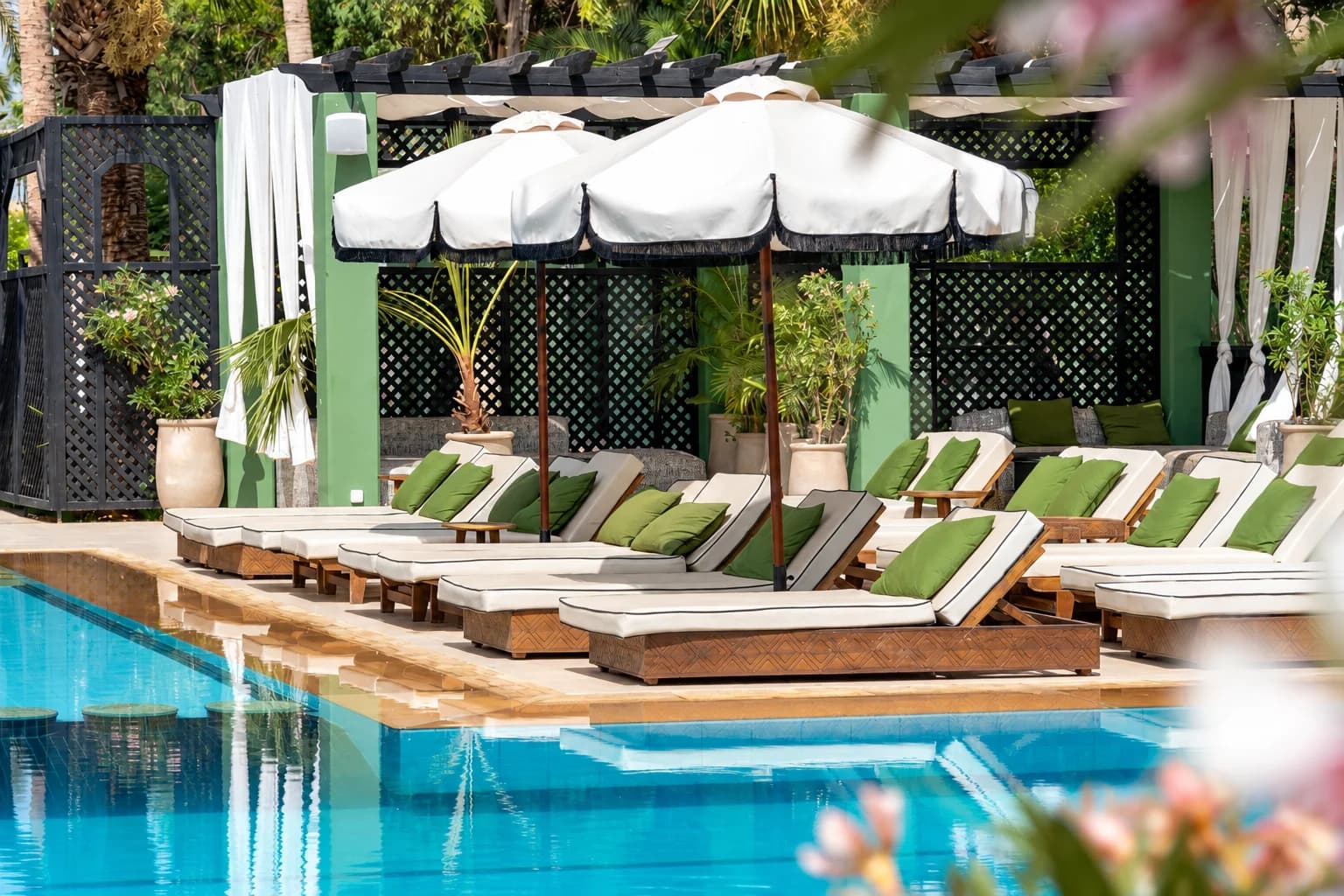 Le Jardin de l'Hivernage - Photo 2