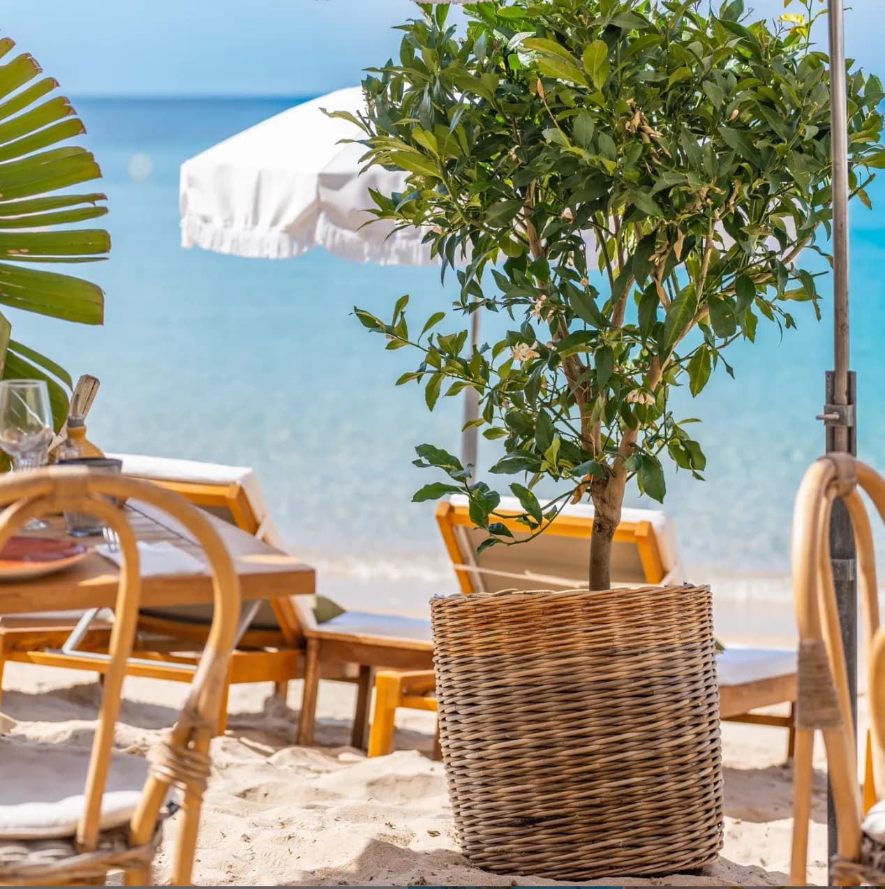 L'Effet Mer - Photo 3