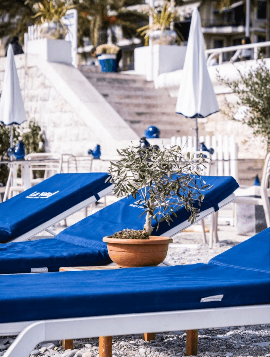 La Vela - Photo 5
