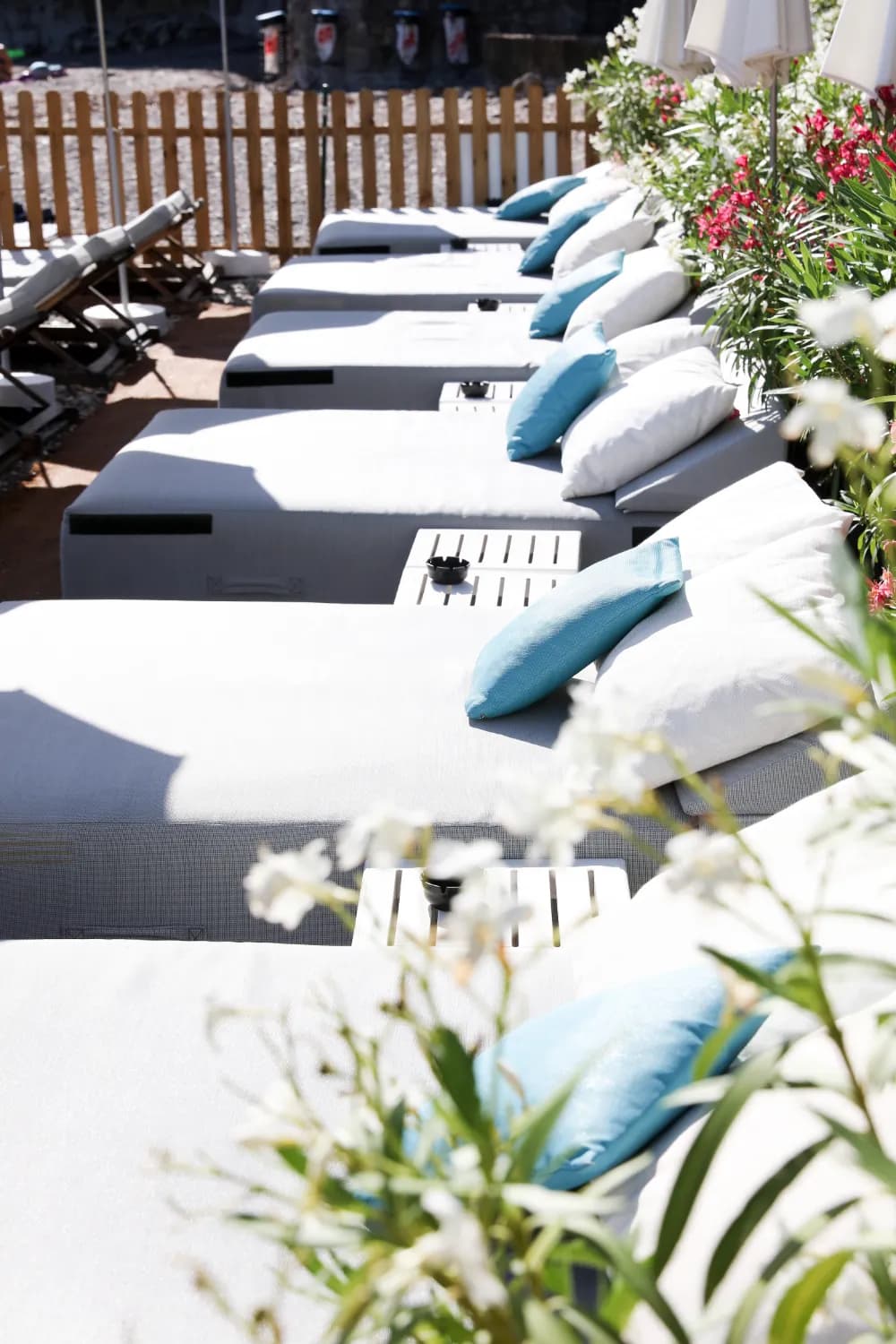 Paloma Beach - Photo 5