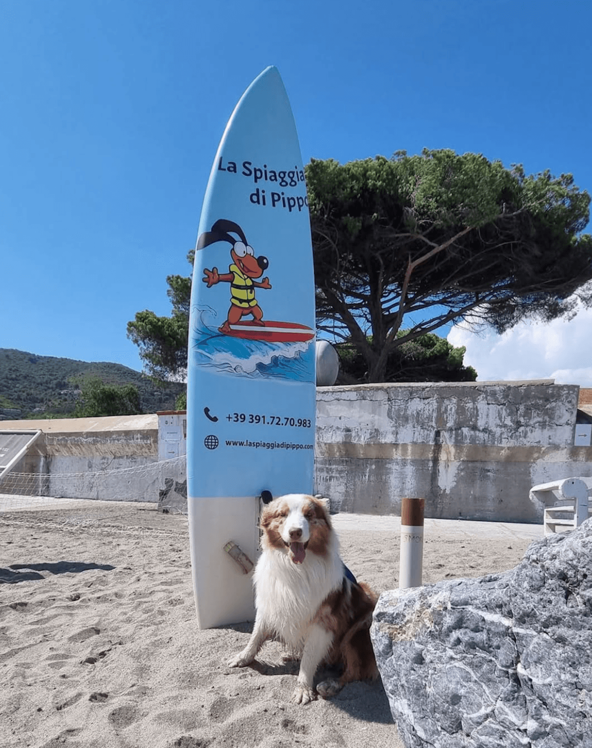 Photo La Spiaggia di Pippo