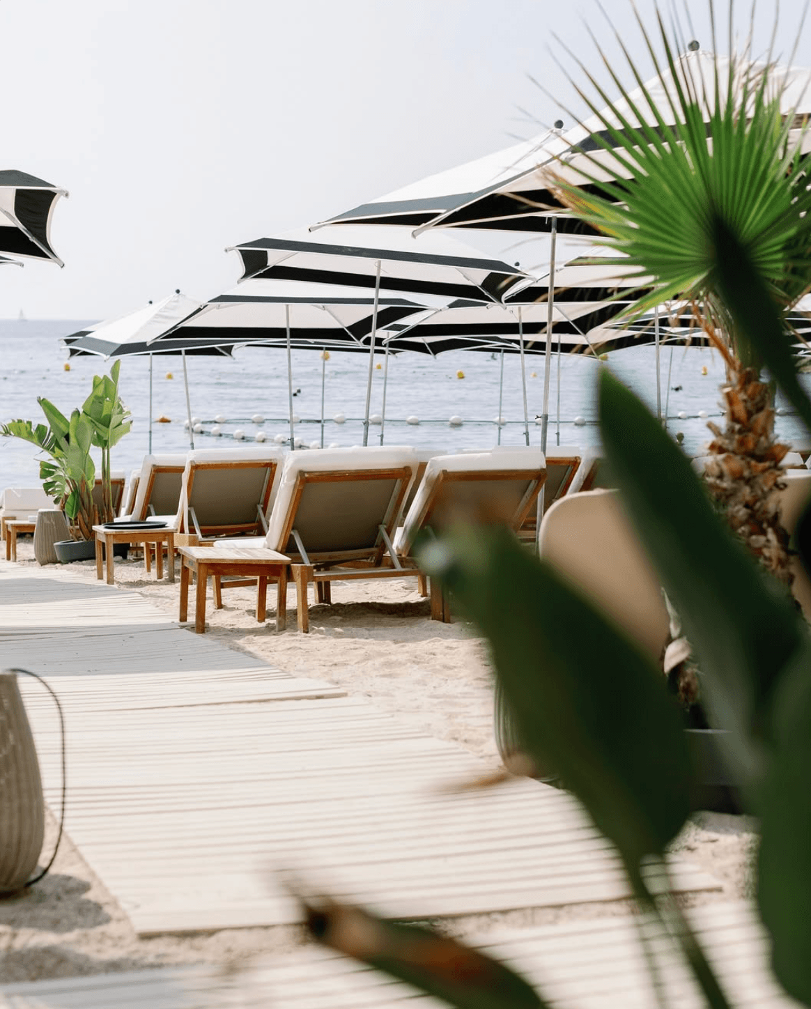 Uvita Plage - Photo 2